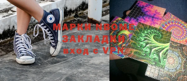 индика Алзамай