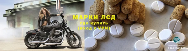 индика Алзамай