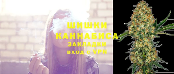 МДПВ Карпинск