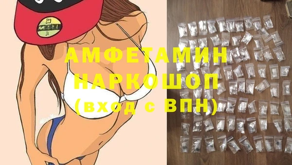 индика Алзамай