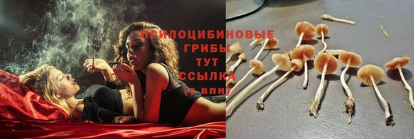 индика Алзамай