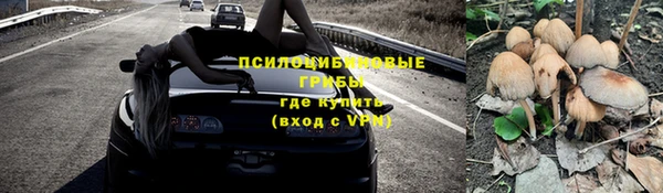 дмт Алексеевка