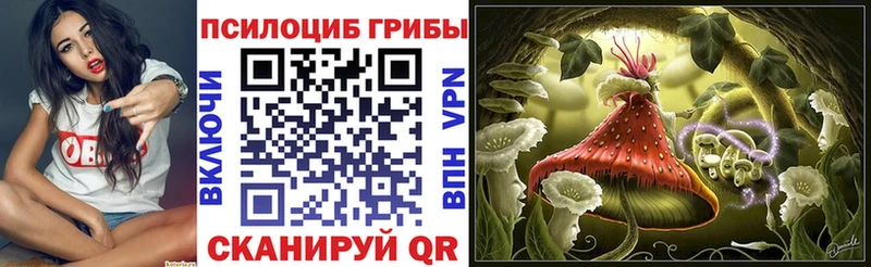 blacksprut рабочий сайт сайты даркнета клад Псилоцибиновые грибы ЛСД Прохладный