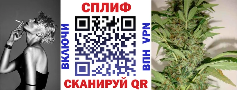 Бошки Шишки SATIVA & INDICA  даркнет сайт  Прохладный 